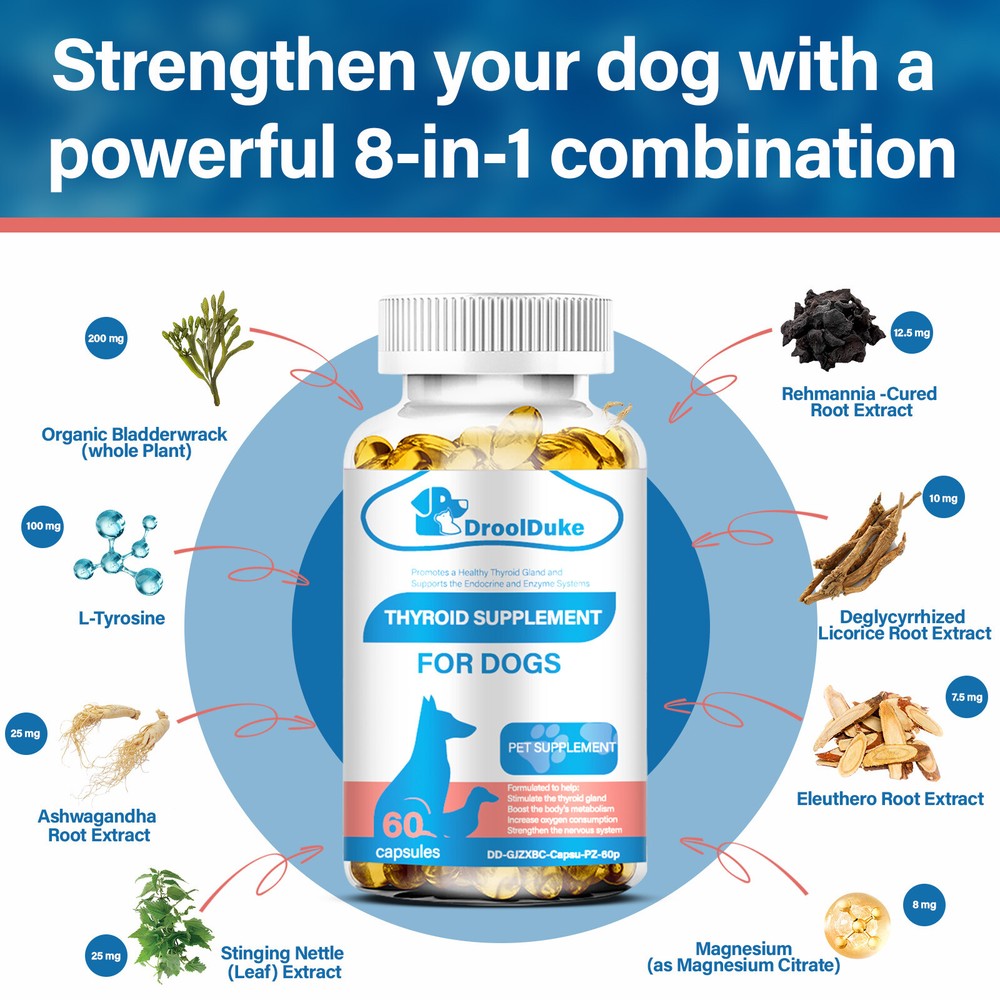(2 Packs)Thyroid Supplement for Dog,Balanced Thyroid Function,Healthy Metabolism