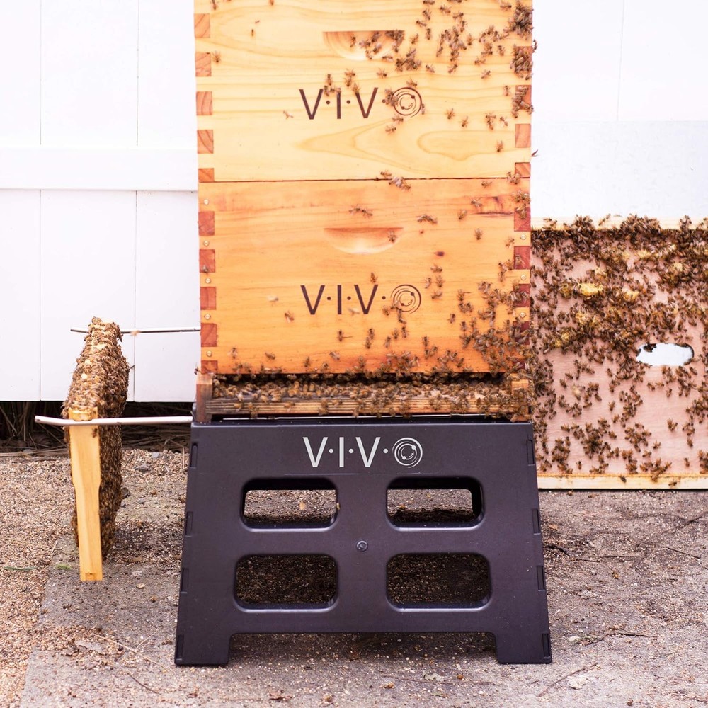 Black Plastic Beehive Stand 10 Frame Langstroth Hives Beekeeping Hive Support