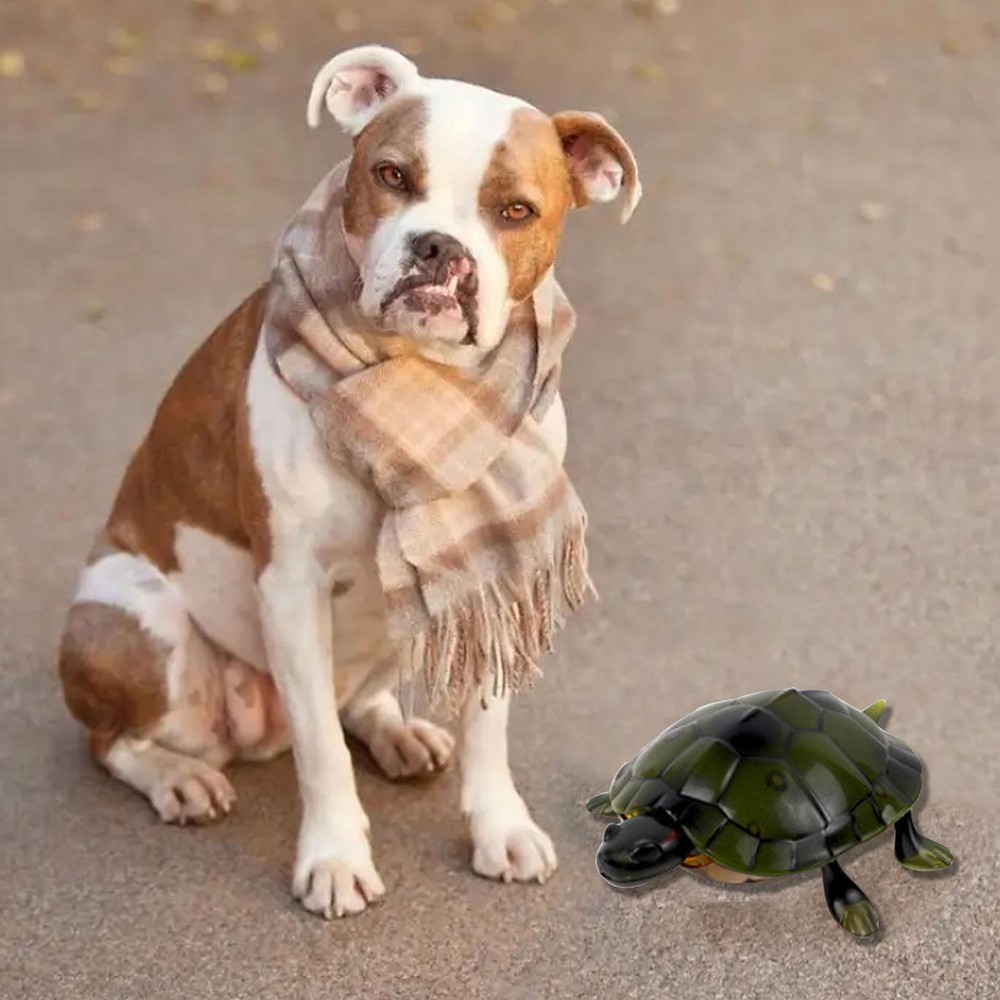 Remote Control Turtle Toy Electronic Realistic Turtle RC Crawling Turtle Toy