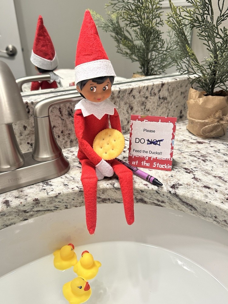 Elf Christmas Activity Feed The Ducks