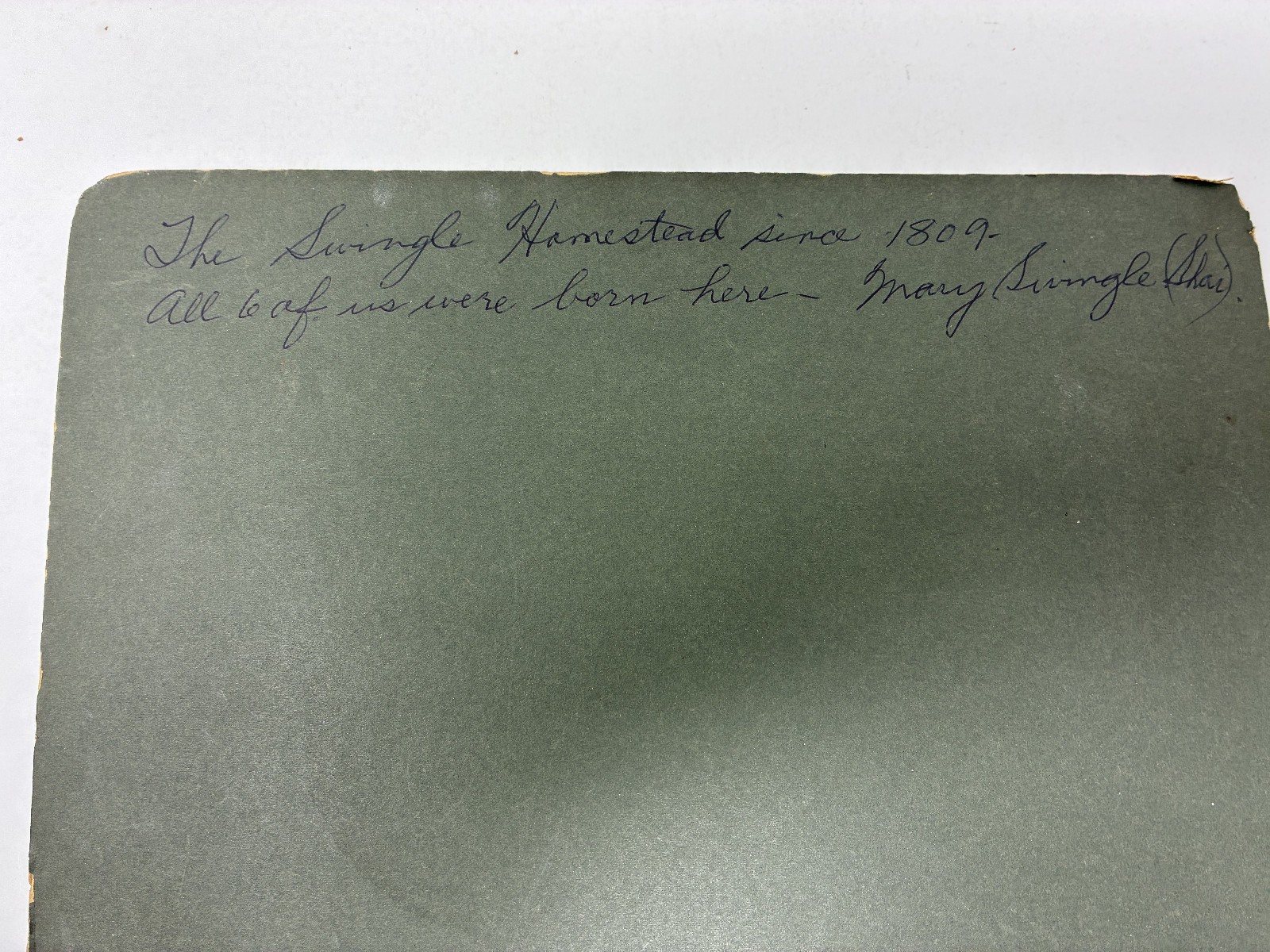 1900s Farm Family Rural Life History Muskingum County Ohio Typed Diary Memoir