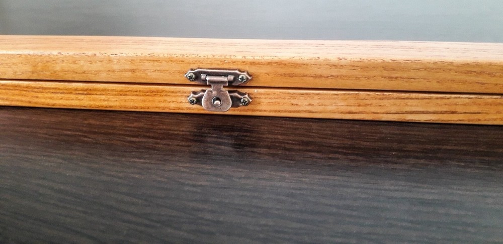 Conductor Baton in case