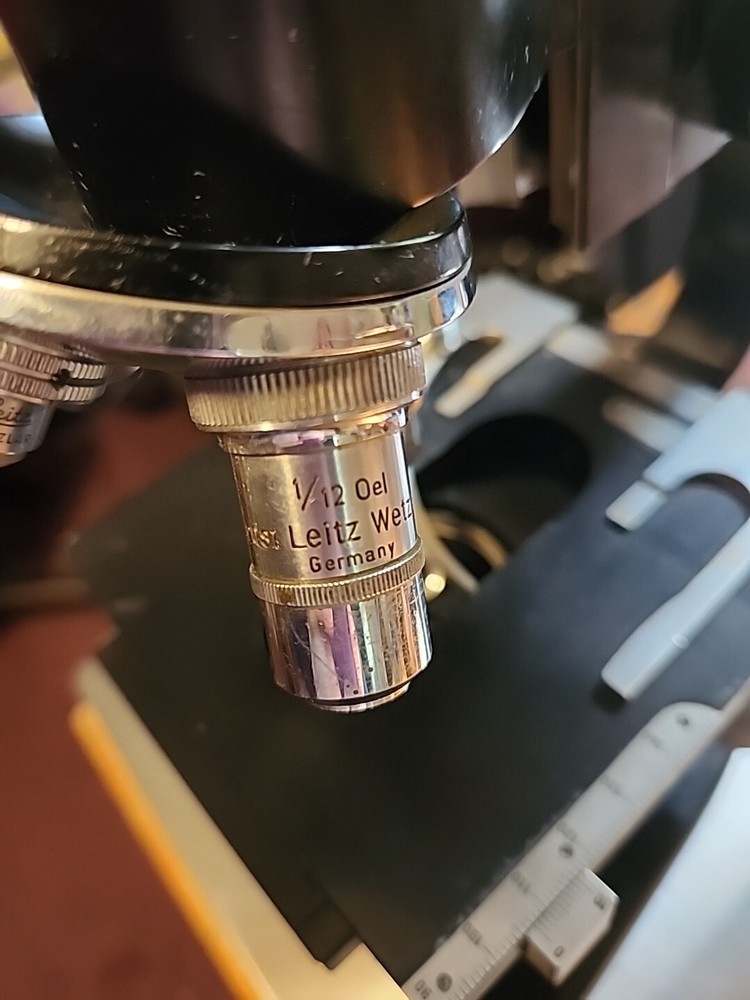 Ernst Leitz Wetzlar Binocular Microscope #413725