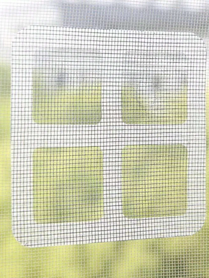 3PCS Silicone Drain Strainers Hair Stopper Odor Prevention Covers - NEW