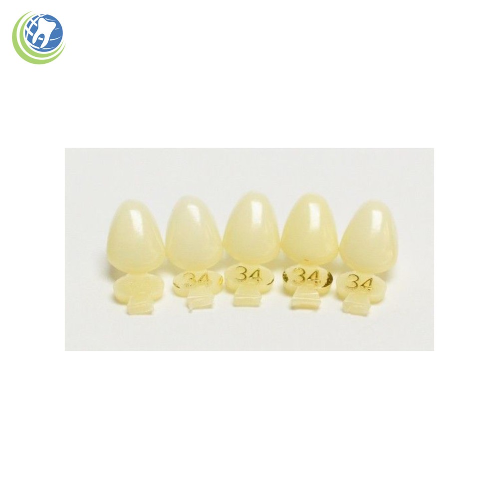 DENTAL POLYCARBONATE TEMPORARY CROWNS #34 (URC) UPPER RIGHT CUSPID  5/PACK