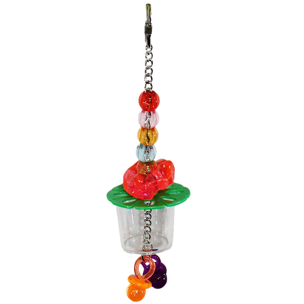 Cage Enhancement Set (Basic) - Interactive Climbing Foraging Accessory