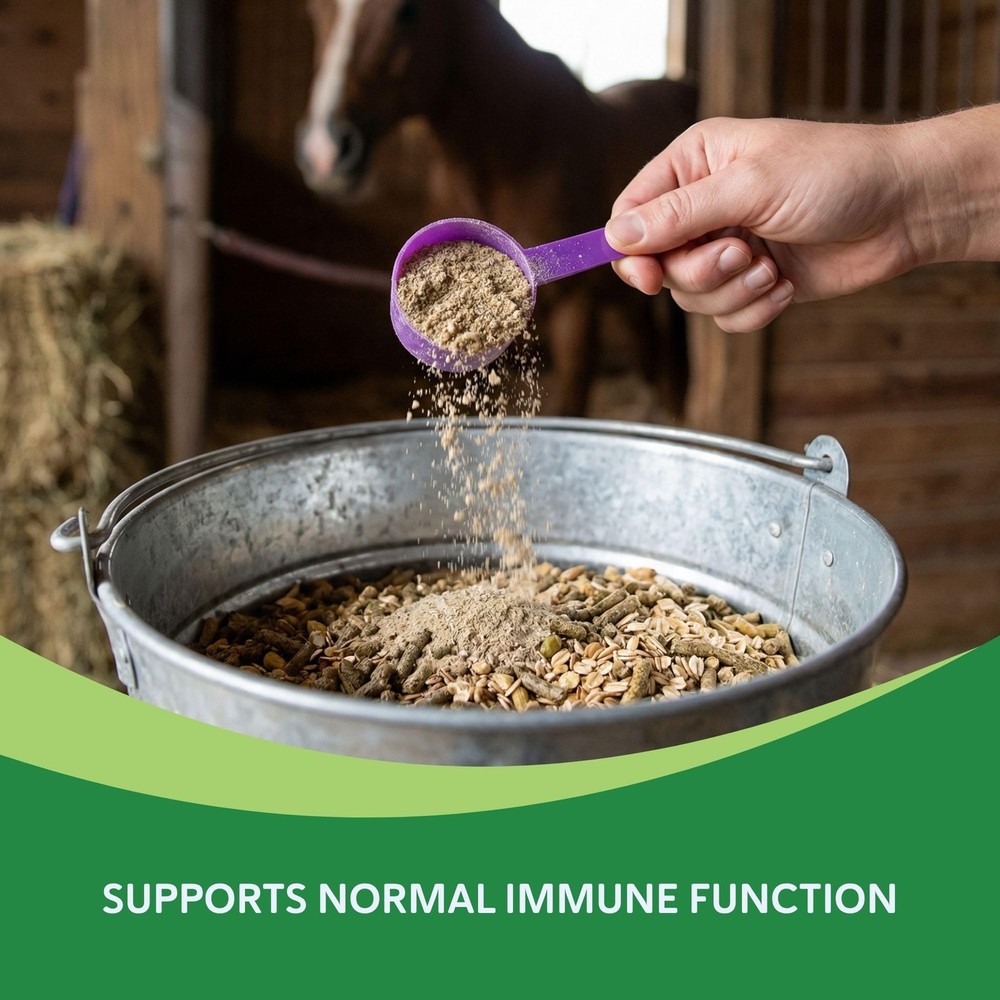 Equine Respiratory Support for Horses, Supports Normal Lung & Immune Function...