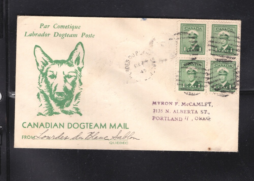 Canada  dog  team  cover  nice  item
