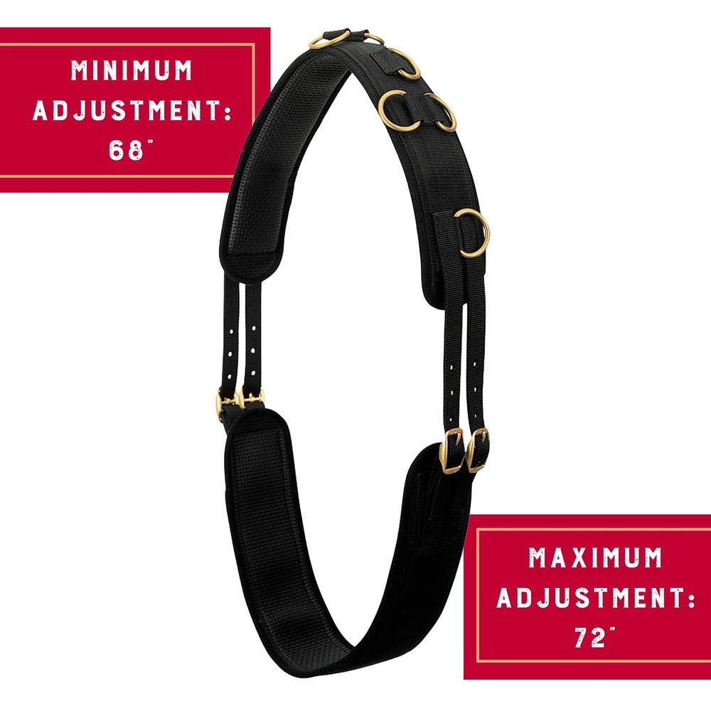 Weaver Equine Adjustable Surcingles for Horses with Average, Lime