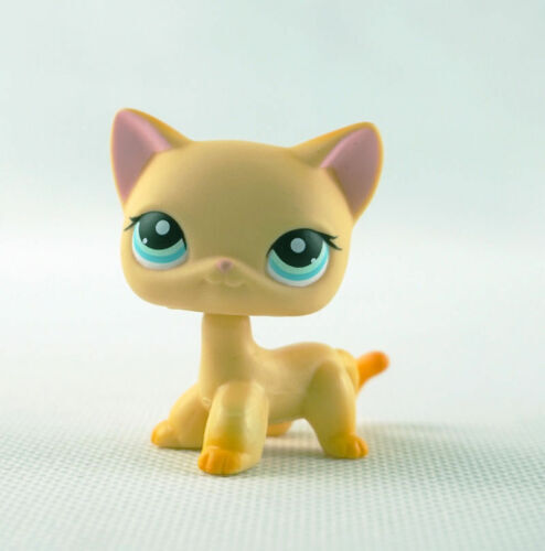 5pcs/lot Littlest Pet Shop toys LPS Random Short Hair Cat Animal Figures New