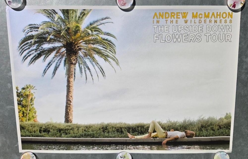 Andrew McMahon In The Wilderness Poster The Upside Down Flowers Tour 2019 18x12