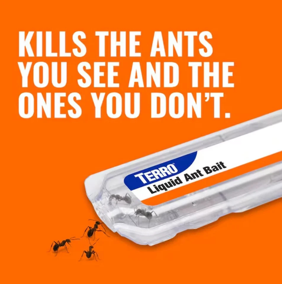 TERRO (6-Count) Indoor Liquid Ant Killer Baits