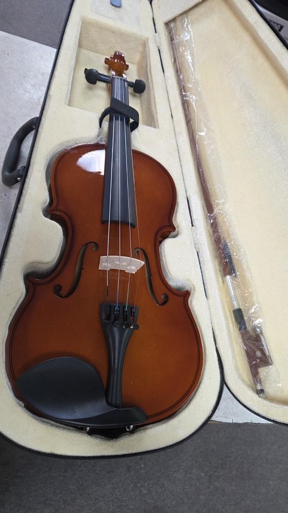 OHUHU VIOLIN (APX027676)