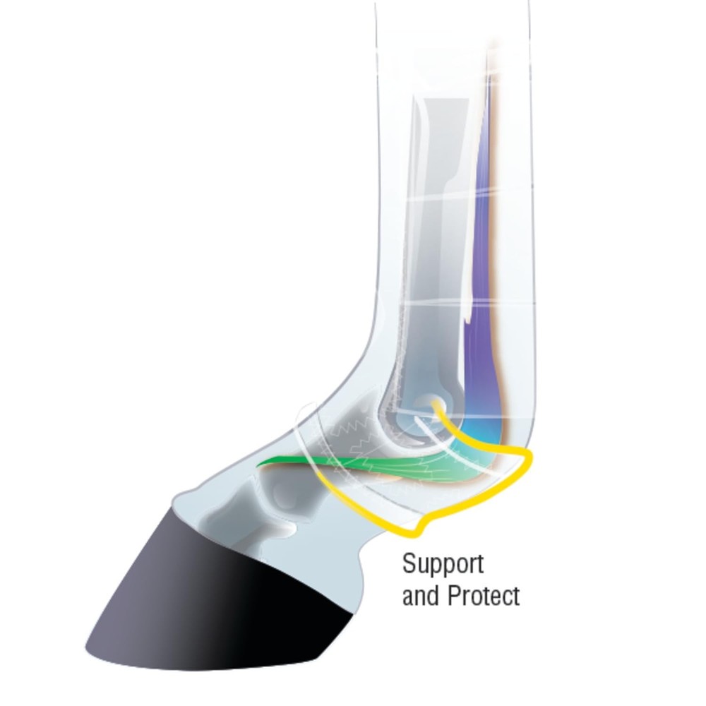 Weaver Leather Prodigy Athletic Front Boots, 2-Pack, Brown, Medium