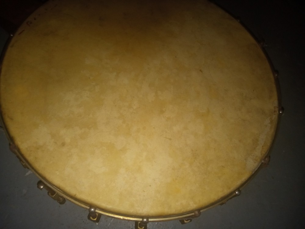 1920's Cowskin Banjo