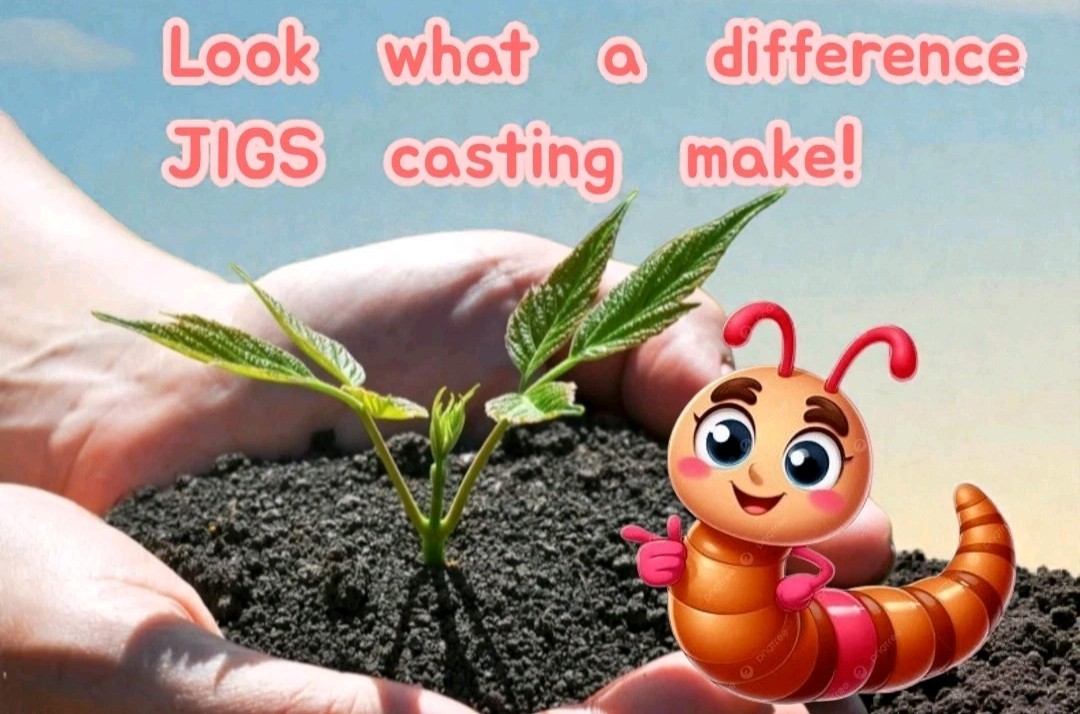 (JIGS) Live PURE Red Wiggler Composting Worms, FREE SHIPPING! No Manure!