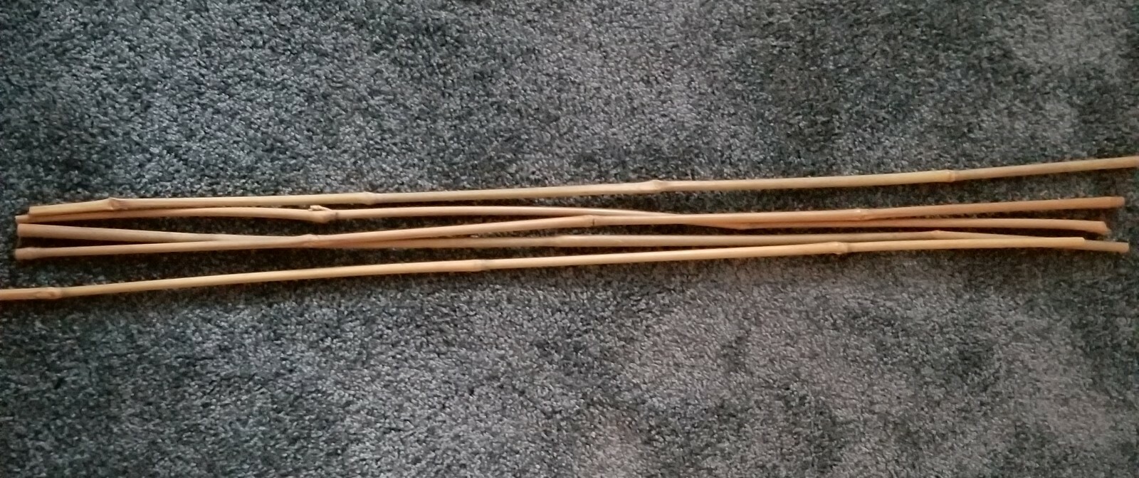 Tree Guards with bamboo sticks - pack of 5
