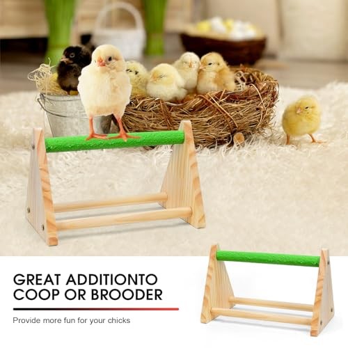 Chick Brooder Box,Chick Starter Kit with Chicken Brooder brooder plate L