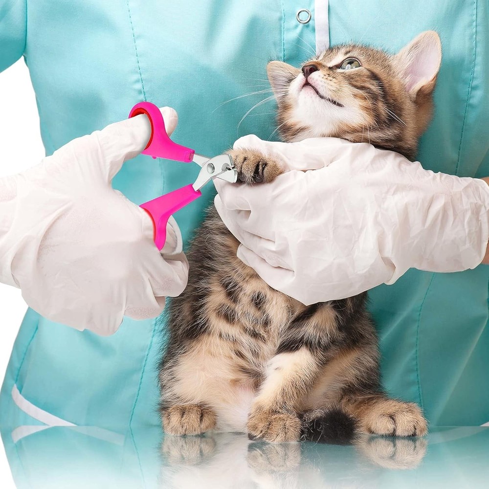 Pink Cat Bathing Set: 5 Essential Tools including Muzzle & Grooming Bag - Large