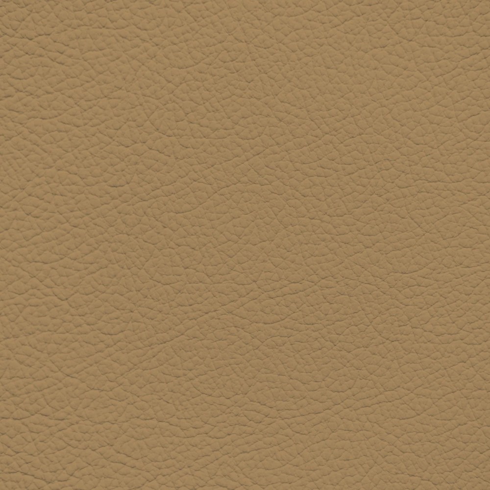 Jaguar Coffee Leather Dye