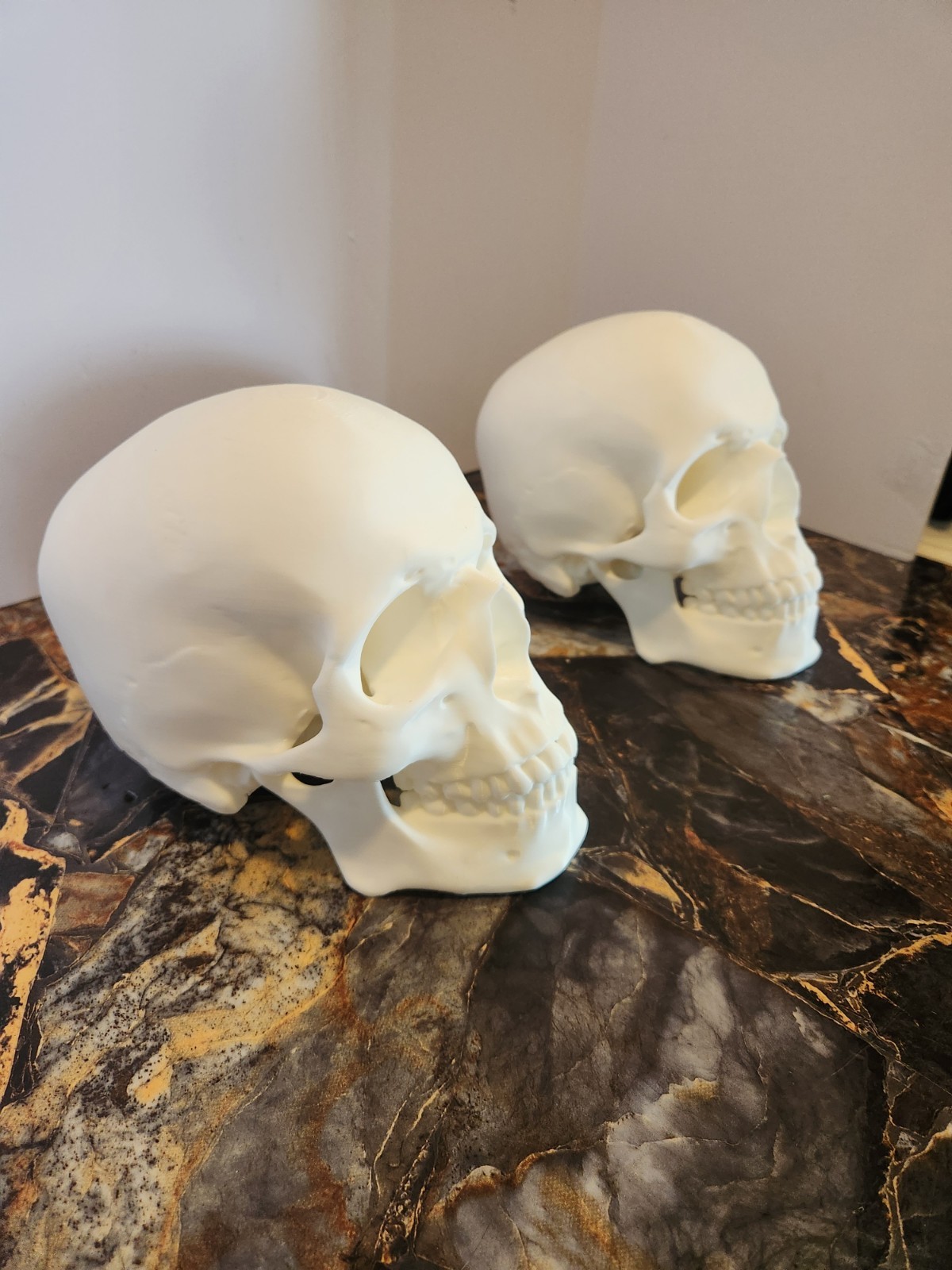 Human Skull Replica - 1:1 Medical Scan Anatomical-Study Gem