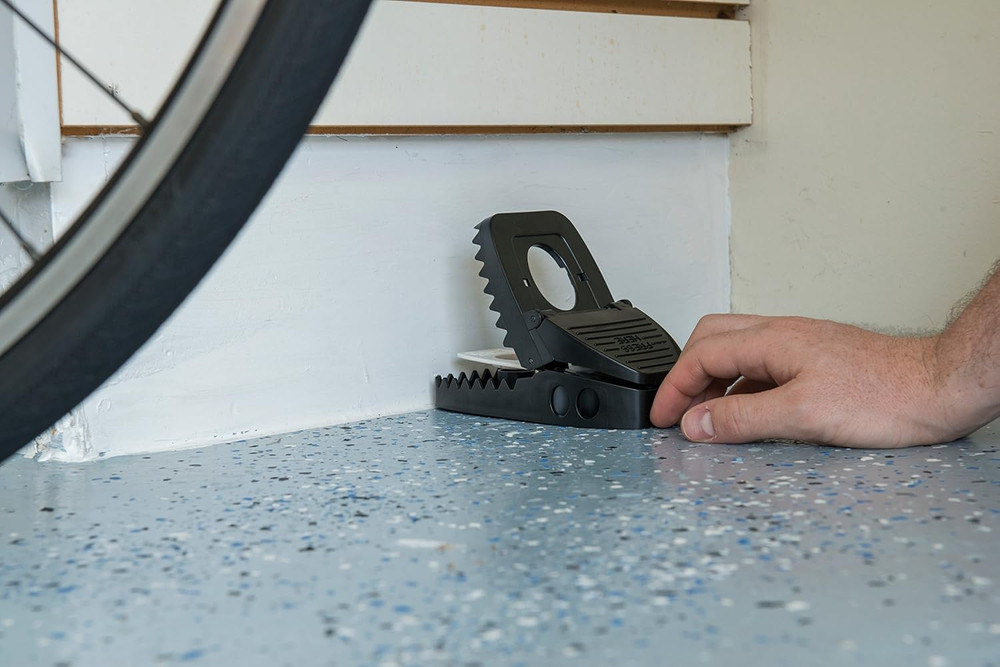 Secure-Kill Rat Trap