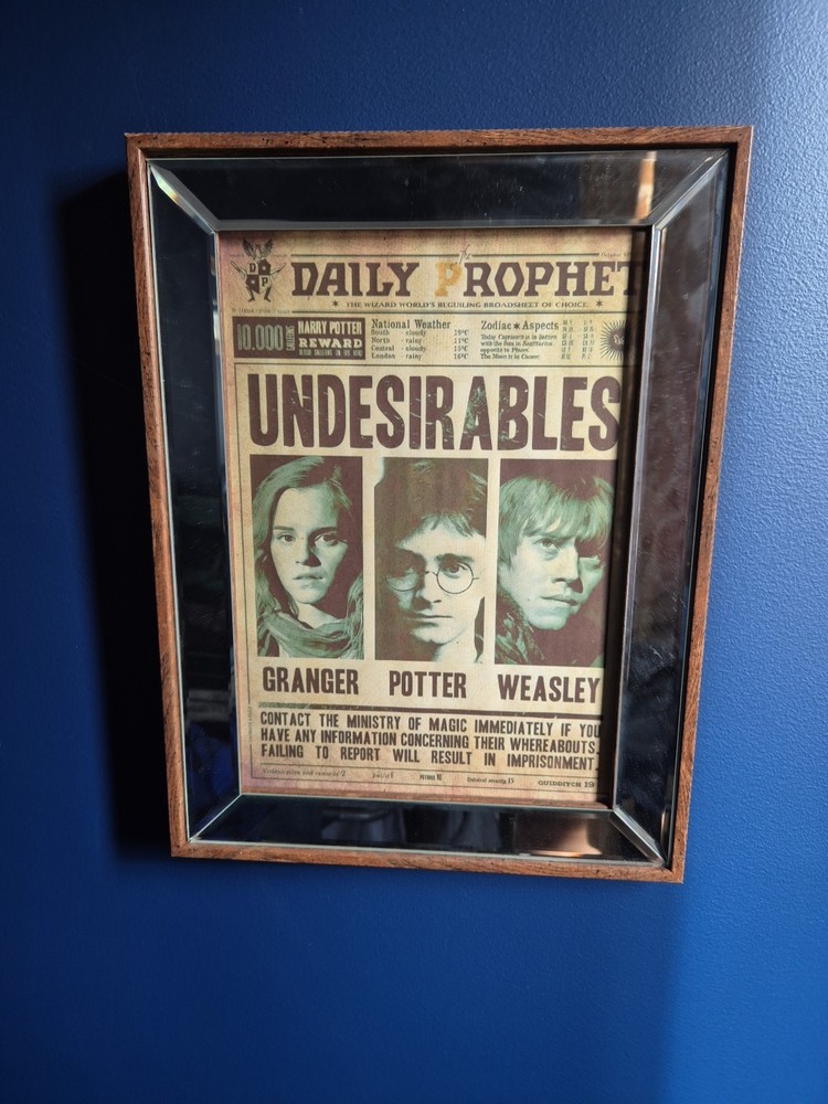 Harry POTTER WANTED POSTERS