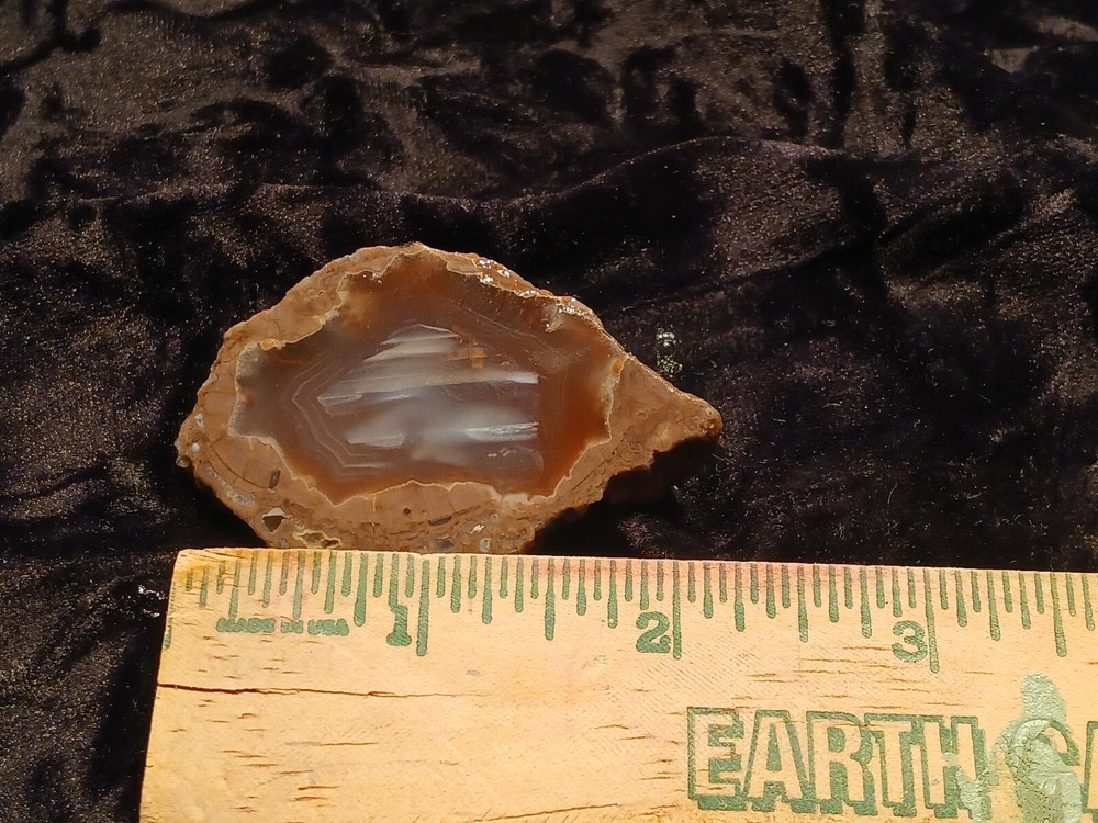 Richardson Ranch Waterline Agate Rough End