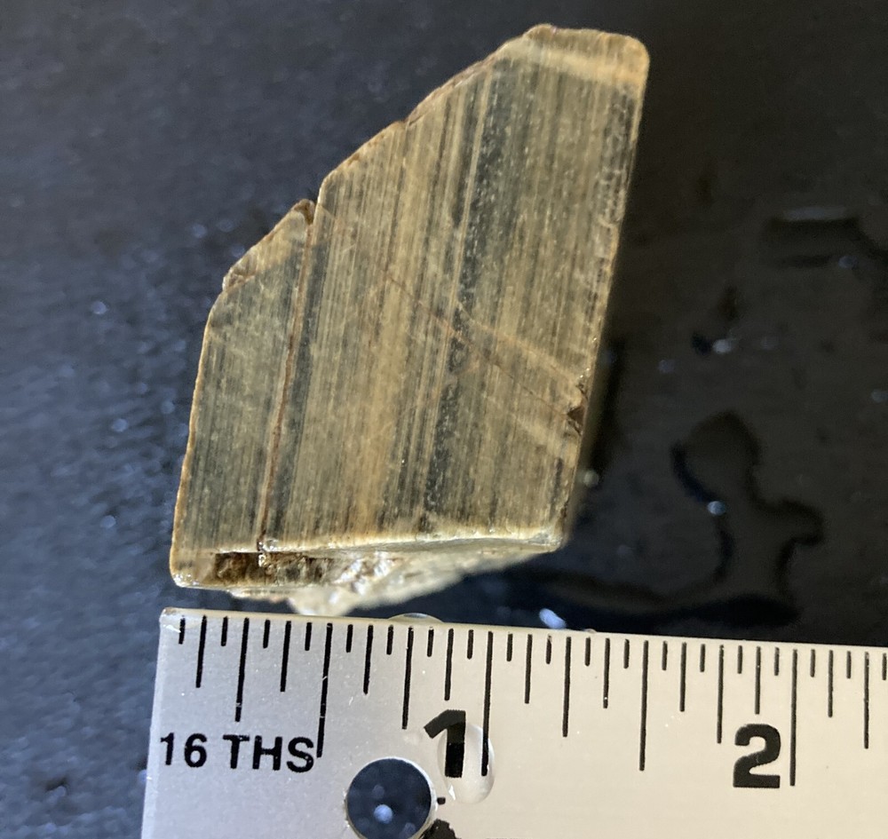 Petrified Wood Chunk - 12oz