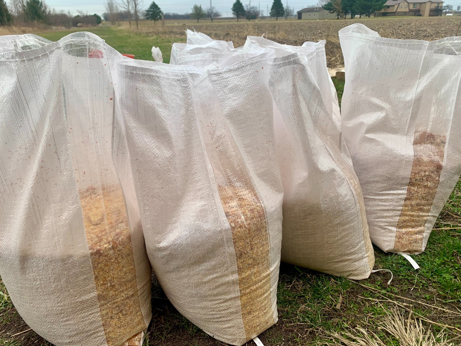 Cracked Corn Premium Chicken Scratch Duck Turkey Bird Feed 15 lb Low Ship Cost