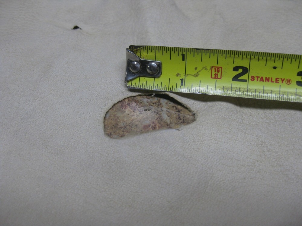 Buffed Deer Leather #0013044 Row 37