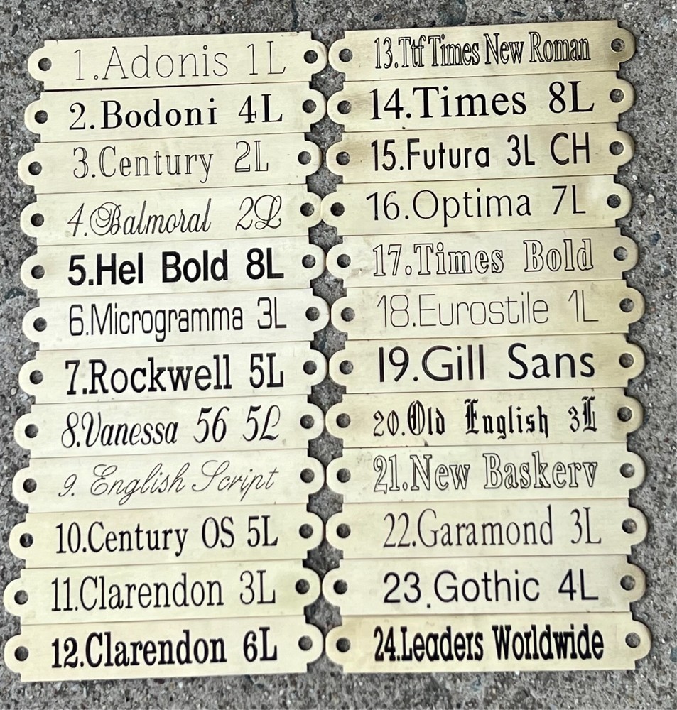 Leaders 1" Leather Halter with Turquoise Padding and Solid Brass Hardware