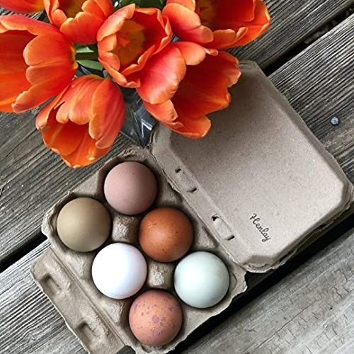 Blank Half-Dozen Egg Cartons Recyclable Pulp 100 Pack
