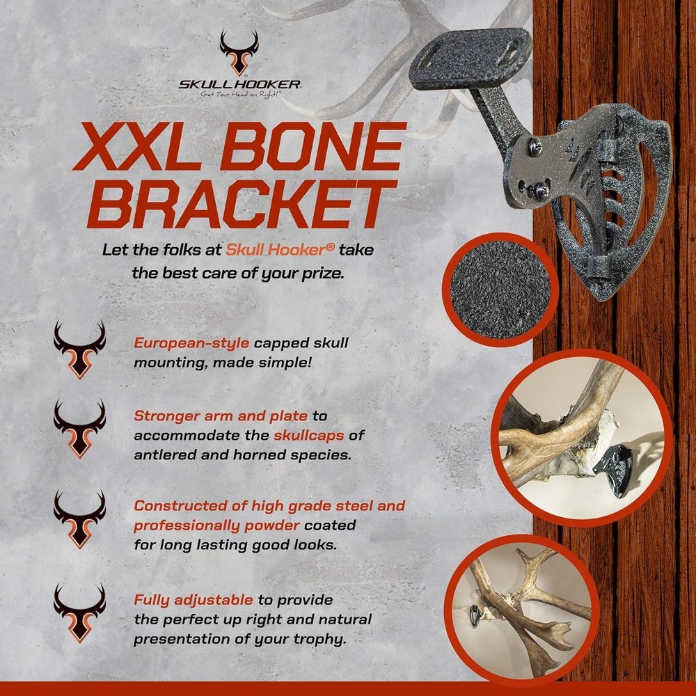 Quick-Install XXL Bone Bracket for Antlers – Professional Trophy Mounting