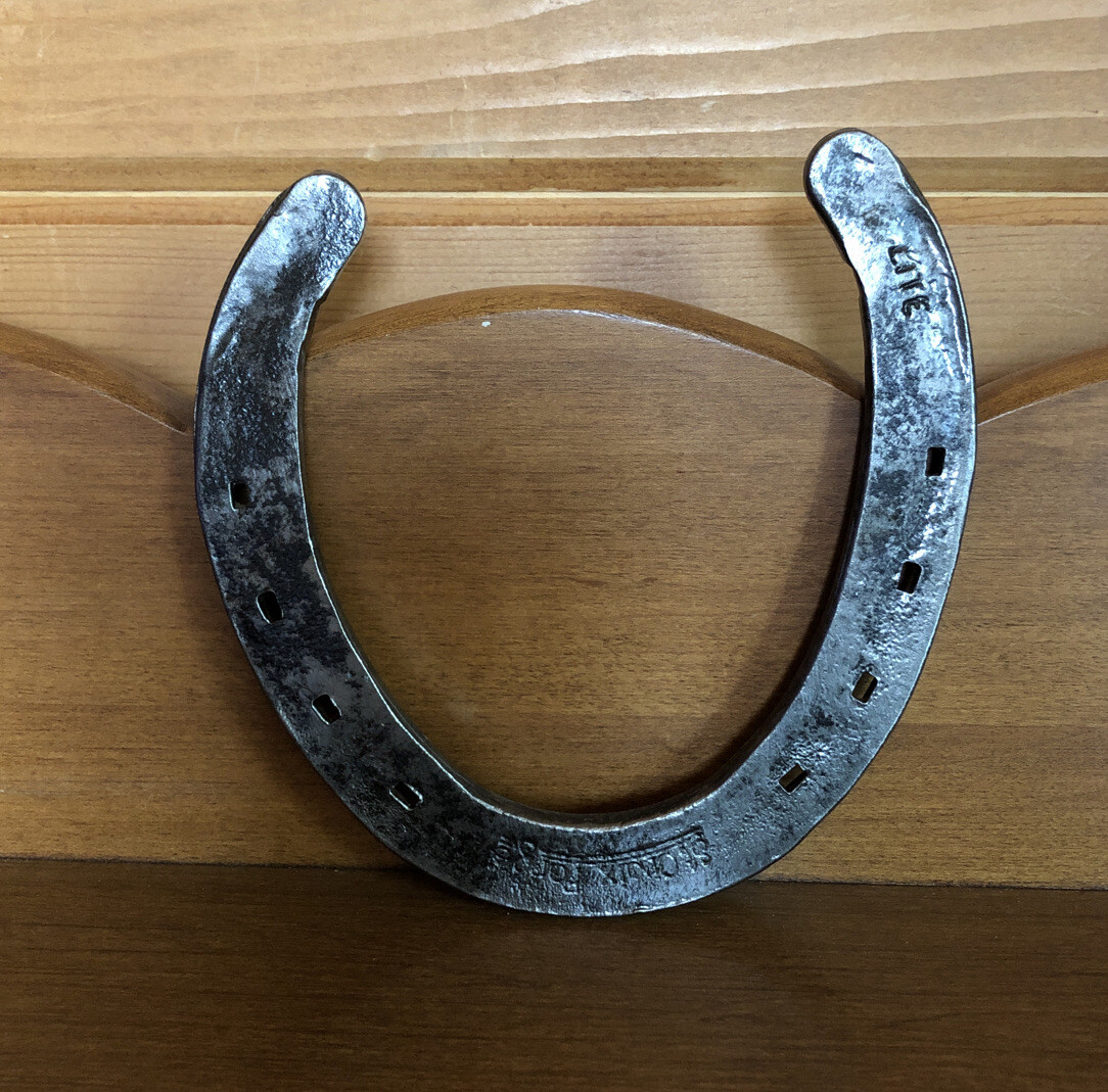 Vintage Lucky Horseshoe Used Decor Collectible with Free Shipping