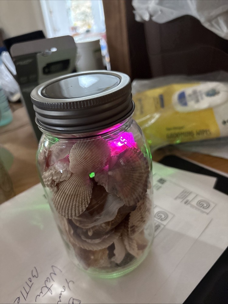 Shells In Lighted Jar