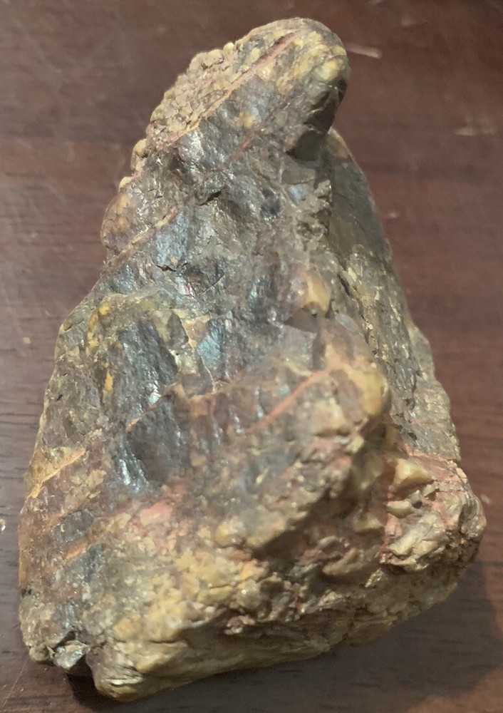 opalized petrified wood Arkansas Fossilized Agate