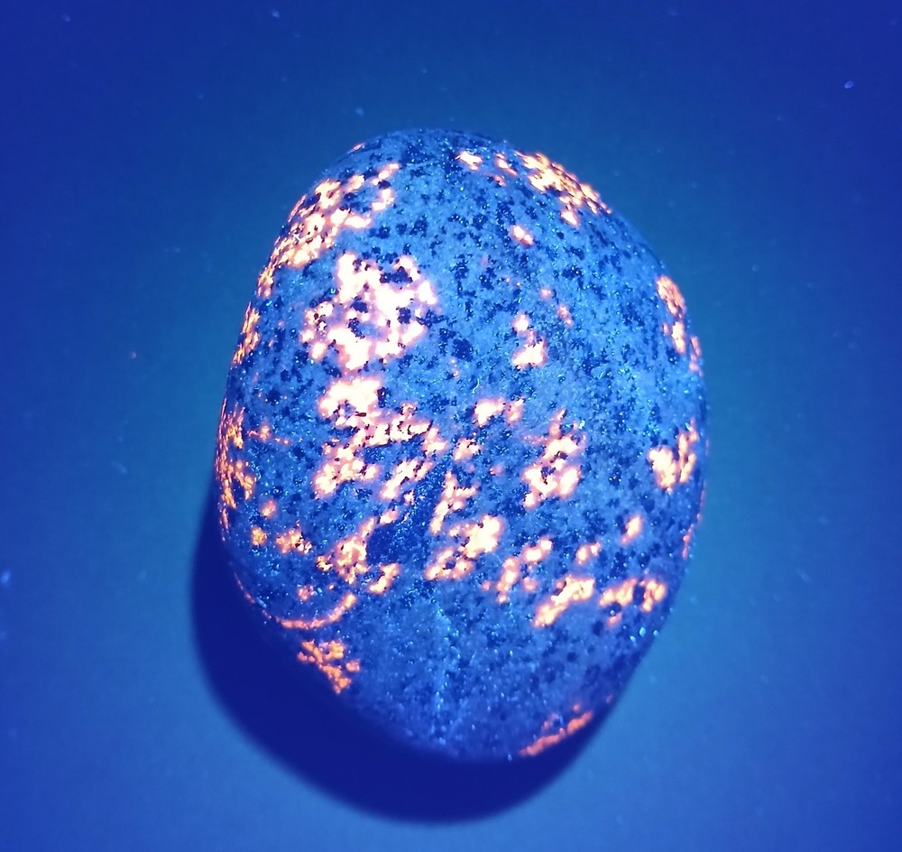 Fluorescent Sodalite ( Yooperlite ) 8 oz. A Beutiful Bright Yooperlite
