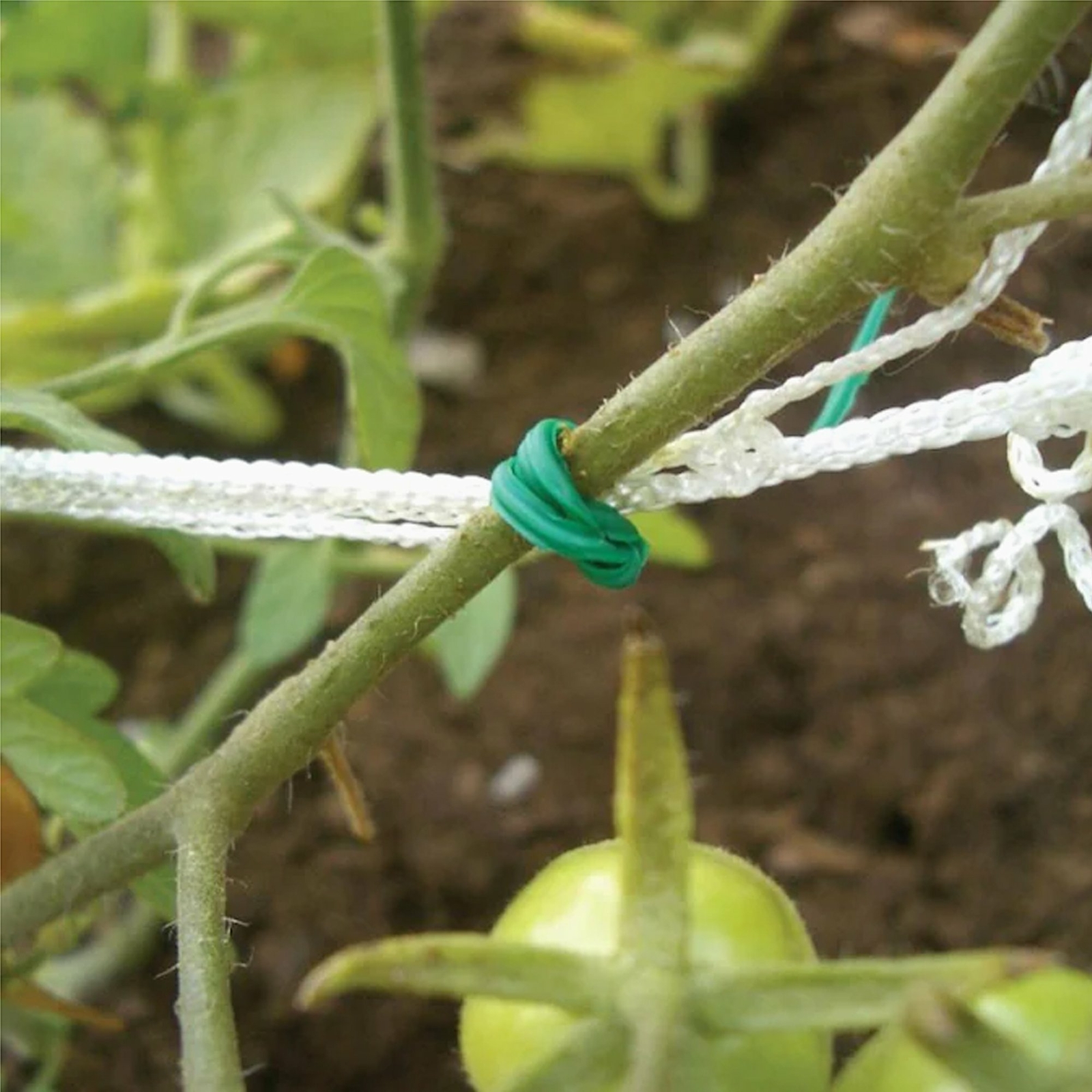 100 FT Green Garden Twist Tie Roll with Cutter for Gardening Kitchen String Ties