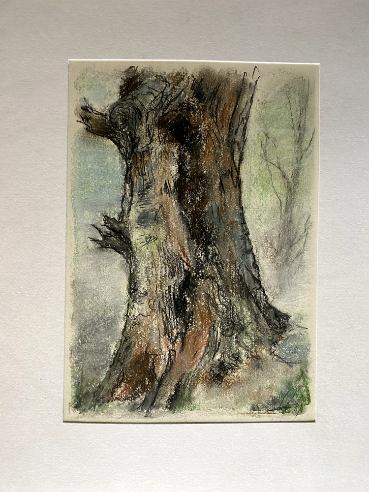 FRANZ EHMKE *1928-2018 GDR PAINTER PASTEL TREE BEECH SIGNED FOREST TRUNK BARK