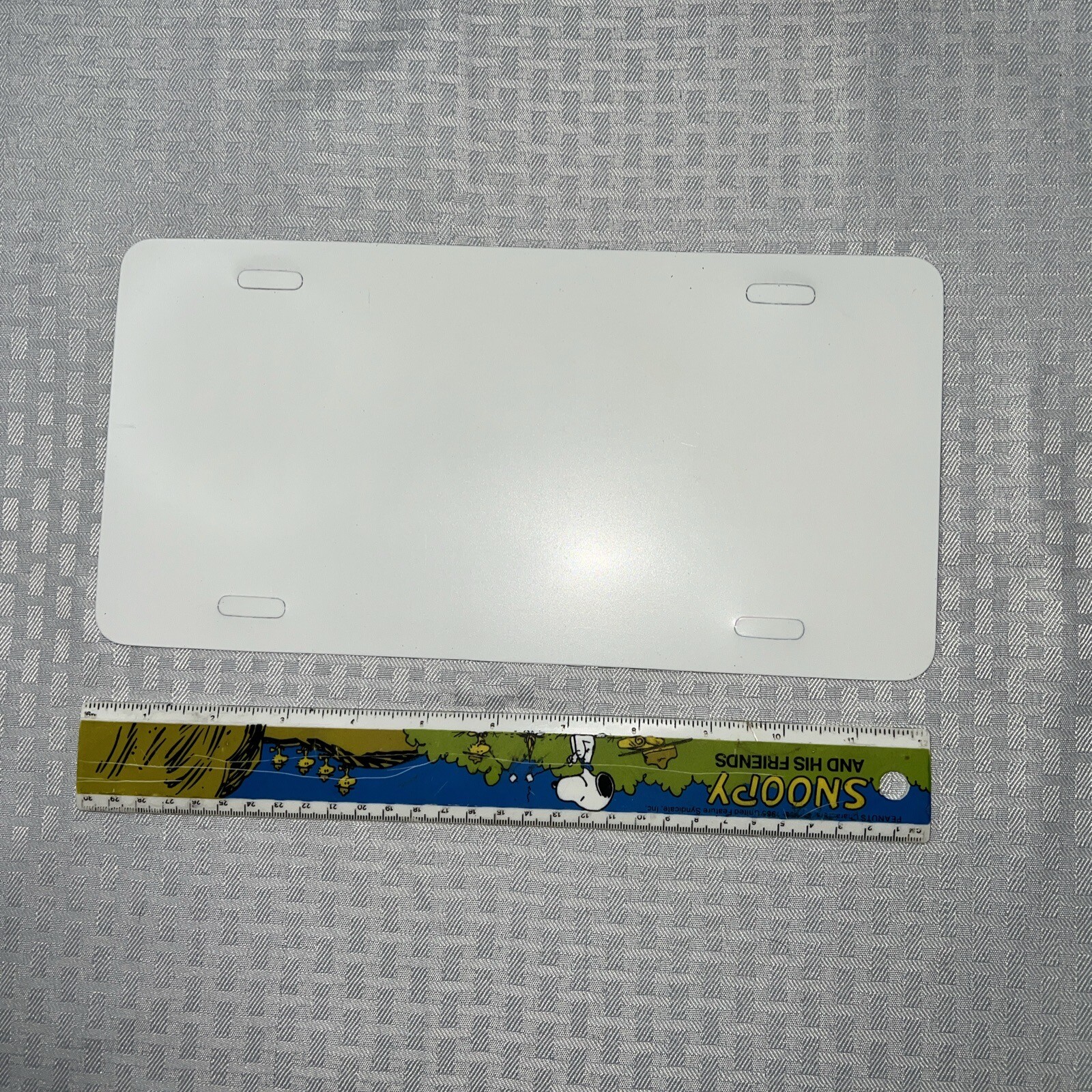 Pleasure Island Walt Disney World Vintage 90s License Plate Plastic Sign 6"x12"