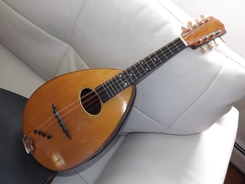 Rare Weymann Mandolute 100yrs old