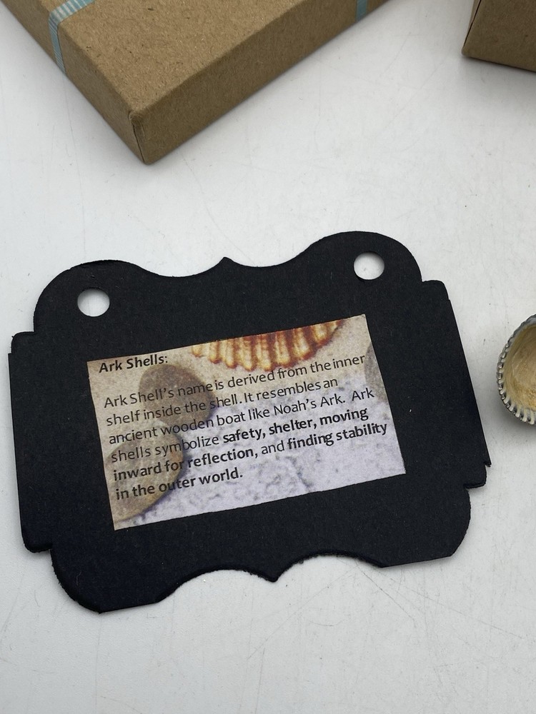 NIB Artisan Handcrafted “Ark Shell” Bangle Bracelet 2