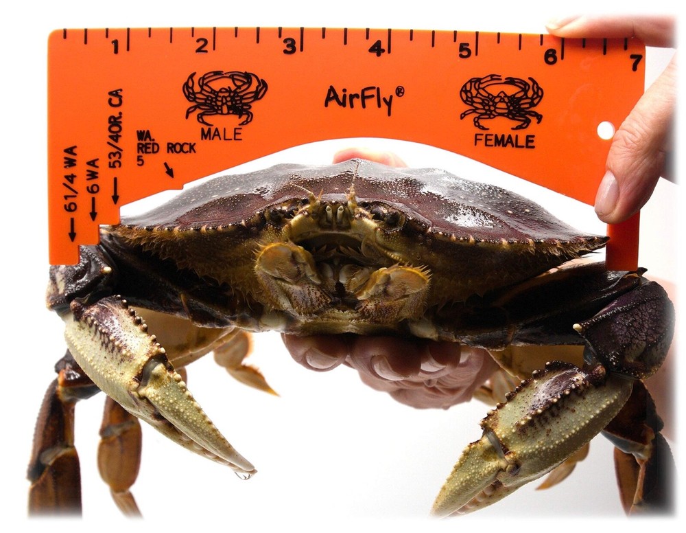 AirFly Foldable Crabjaw Trap, Castable Pot/Ring Net (2pcs + Gauge + Baits + Bag)