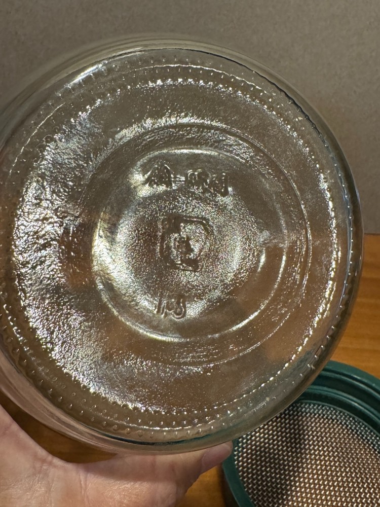 Sprouting Lid & Jar Sprouts Growing Stainless Mesh Screen A-64 Jar