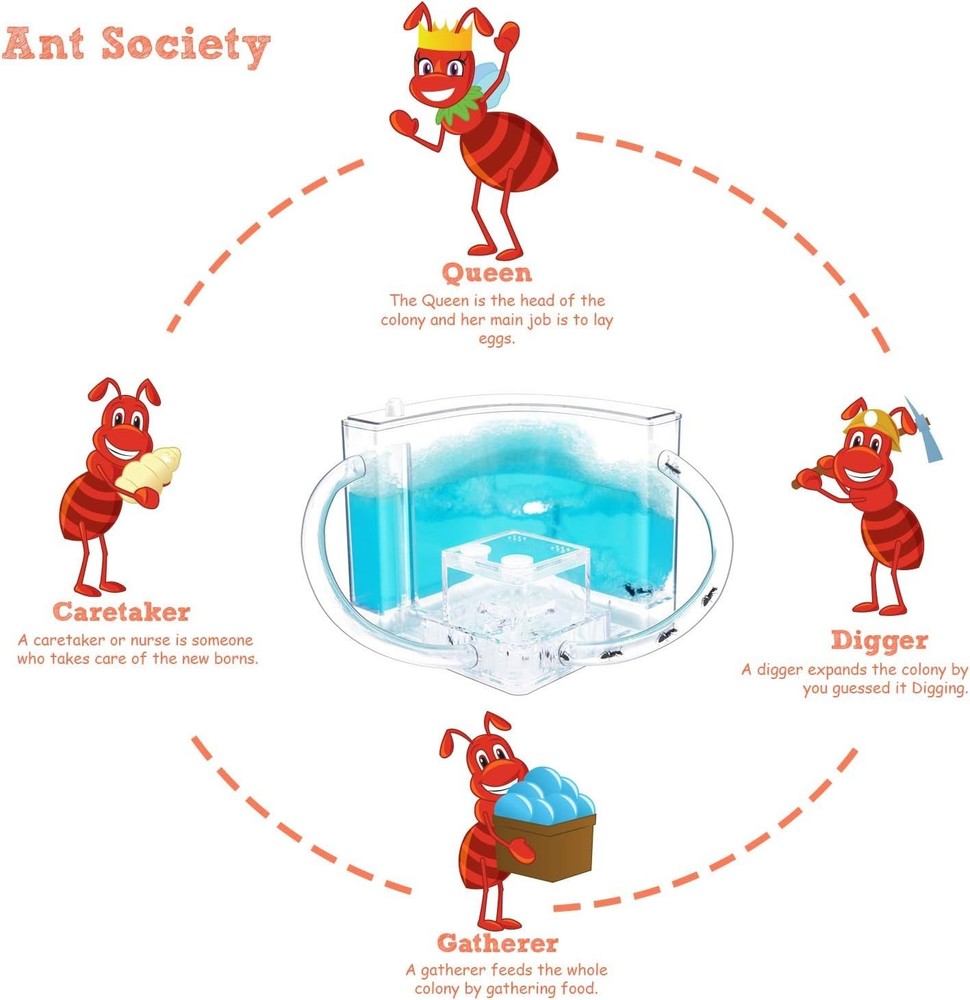 Ant Farm Castle 2.0 Science Kit - Explore Insect Behavior Safely