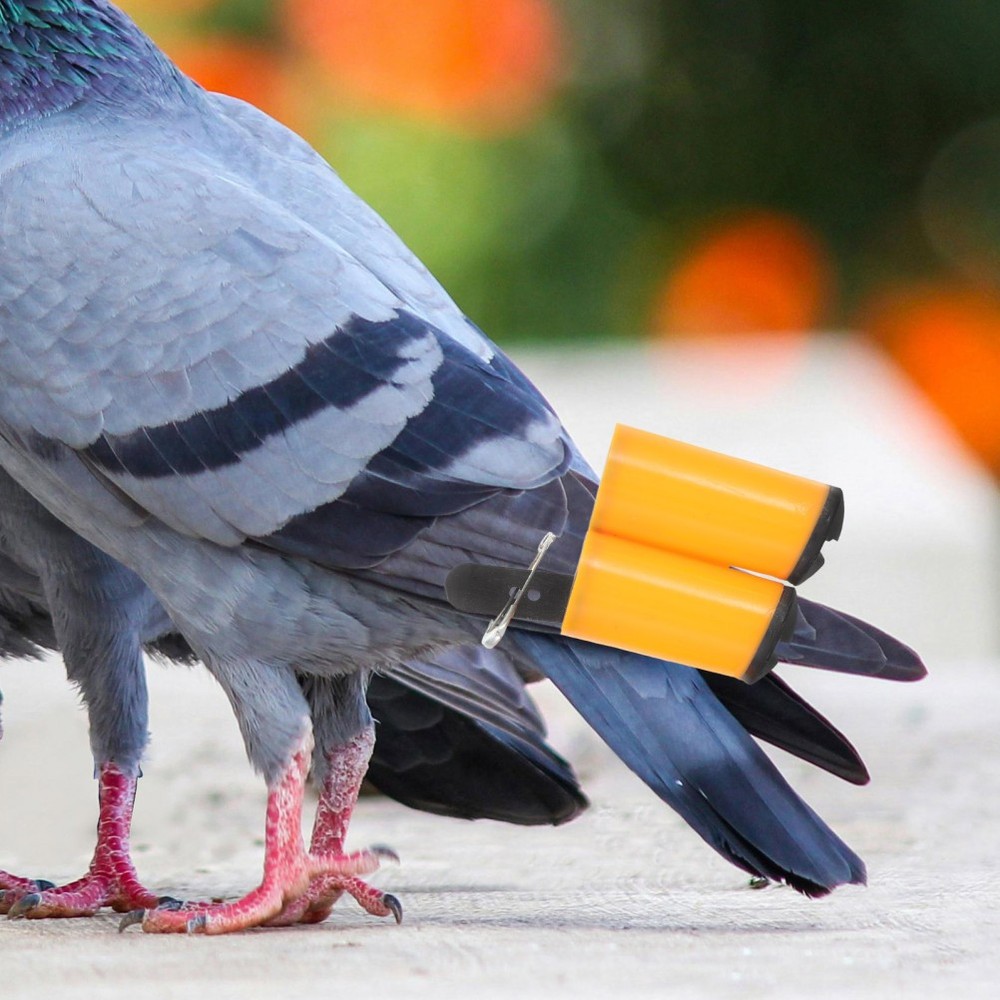 2 Pcs Multi-function Whistle Small Pigeon Dog Training for Recall Camping