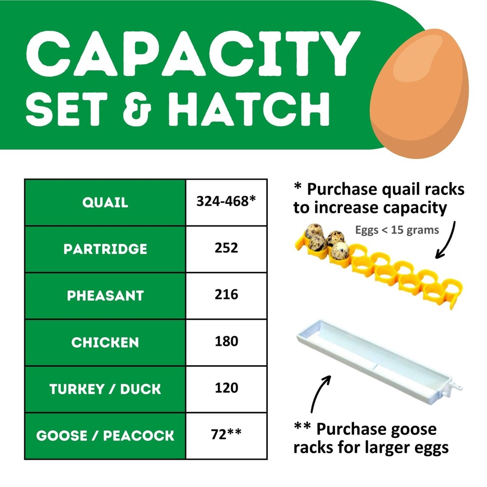 CT180 SH - Egg Incubator - Setter & Hatcher