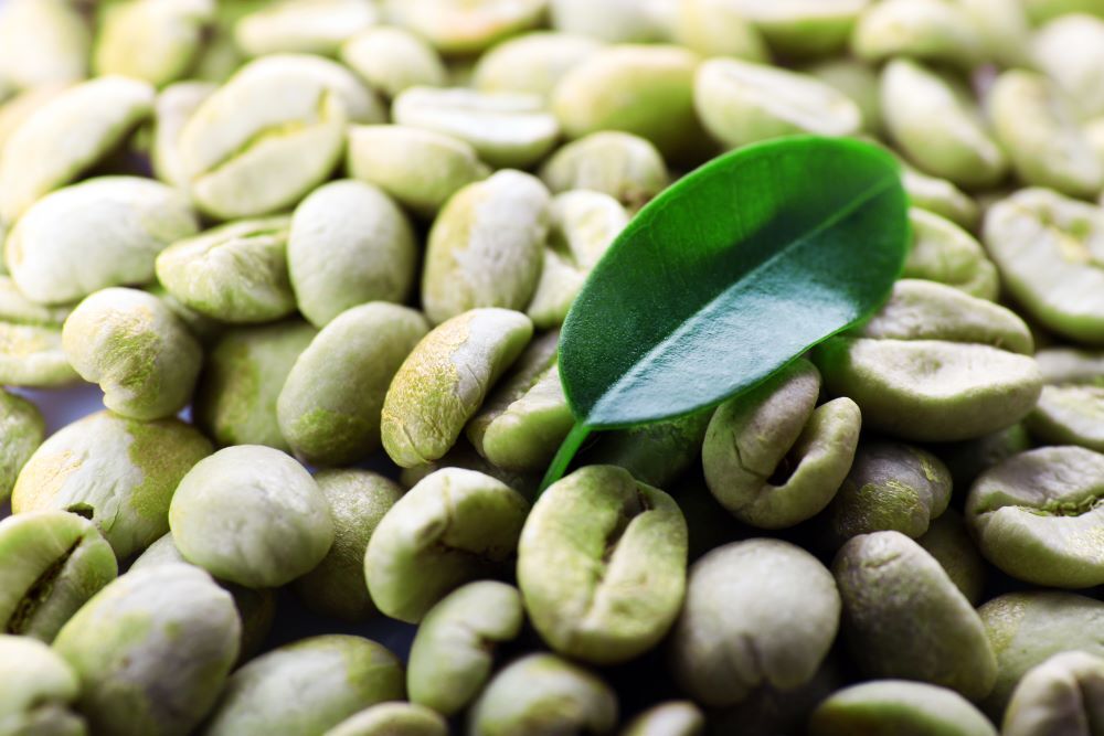 5 POUNDS green coffee beans – your choice of beans – MANY to choose from