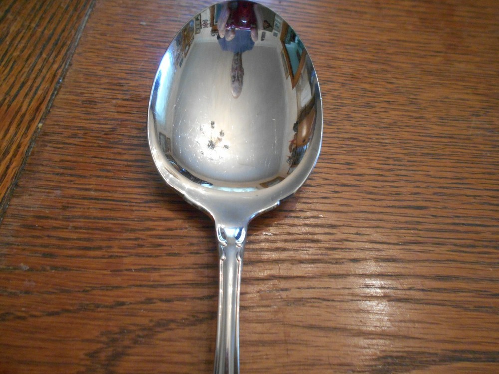 Oneida Community Stainless CHATELAINE Berry / Casserole Serving Spoon 5422